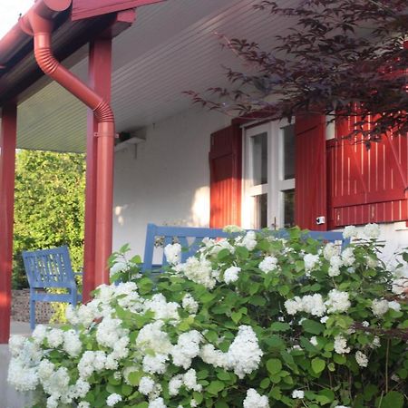 Nagymajor Birding Lodge Tiszacsege Dış mekan fotoğraf